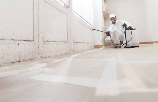 24/7 Emergency Commercial Mold Remediation experts in Trevorton, PA