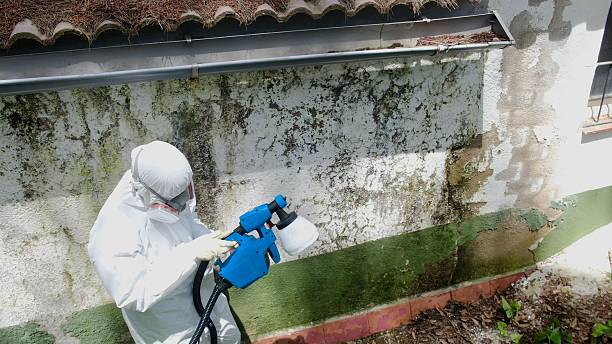 Top rated local Commercial Mold Remediation specialists in Trevorton, PA